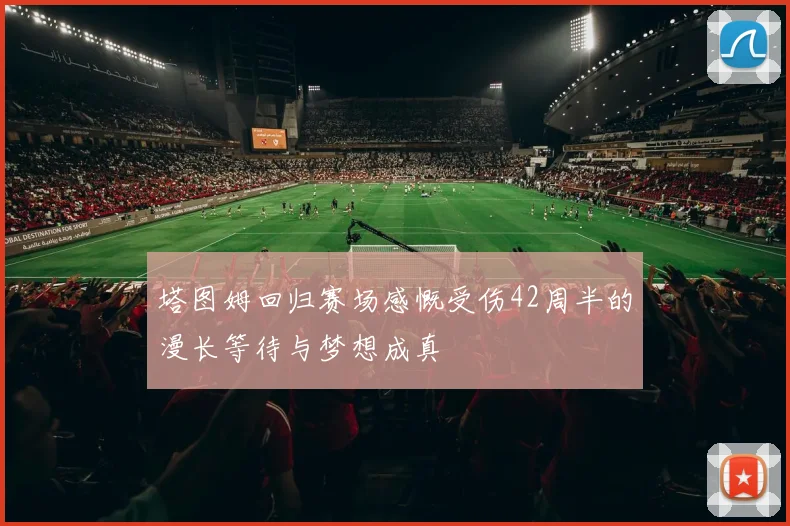 塔图姆回归赛场感慨受伤42周半的漫长等待与梦想成真