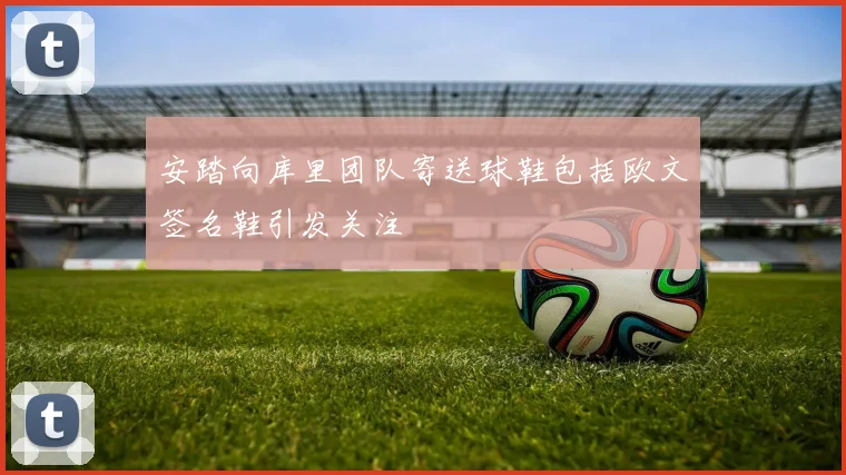 安踏向库里团队寄送球鞋包括欧文签名鞋引发关注