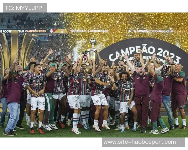 自2019年起巴西球队连续称霸南美解放者杯今年冠军已然确定