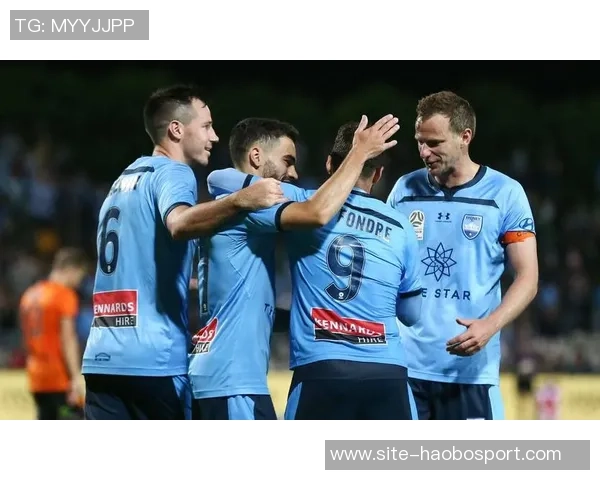 莱斯费迪南德点评阿森纳表现不足比分却显五星级水准